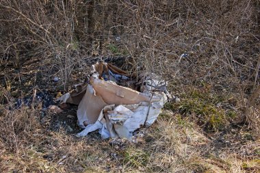 Yıpranmış karton kutu bir çiftlik arazisi boyunca çalıların altına atılmış.