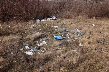 Çöp kasten çimen tarlasına atılmış. Bu durumda, bu rastgele çöp atılmasından daha fazlasıdır, bu başkasının mülküne kişisel çöp atılmasıdır.