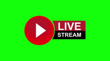 Medya ve Yayın İçeriği için Canlı Yayın Oynatma Animasyonu