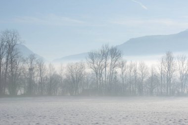 Sis sabahleyin yere düştü.