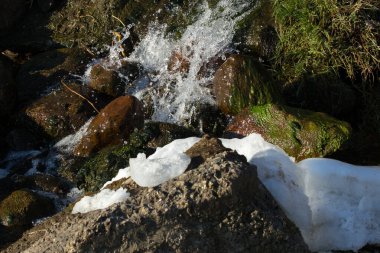 Buzlu Akıntı Yosunlu Kayaların Üzerinde