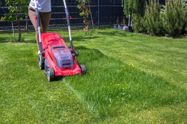 Kırmızı çim biçme makinesiyle çim biçen bir kadın. Çim biçme makinesi siyah elementlerle kırmızıdır. Çim biçme makinesinin arkasında yeşil bir çim ve çalıların yanı sıra arka planda ağaçlar görebilirsiniz. Güneşli bir gün, çimenler parlak yeşil.