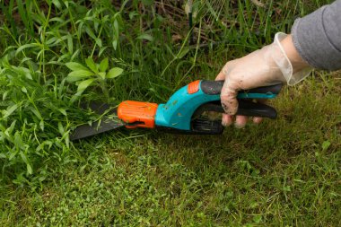 Çimlerin kenarındaki çim ve yabani otları kesmek için kullanılan bahçe makası tutan şeffaf bir eldivenin içindeki elin yakın çekimi. Bazı budanmış çimenler yerde görünür..