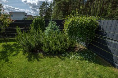 Karanlık ağ çitleri boyunca çeşitli süs bitkileri ekilir: gür kozalaklı çalılar, mavi çam, ağlayan ağaç ve yuvarlak yaprak döken çalılar..