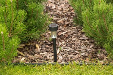 Çiçek tarlasına konmuş, ağaç kabuğuyla kaplı bir güneş bahçesi ışığının yakın çekimi. Işığın her iki tarafında kozalaklı çalılar yetişir. Resim bir peyzaj tasarımı elementini gösteriyor.