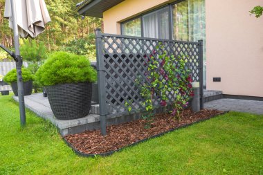 Yeşil çalılı hasır bir saksının taş bir üste durduğu özel bir evin terasının bir parçası. Onun yanında koyu kırmızı çiçekli bir bitkinin tırmandığı dekoratif bir kafes var..