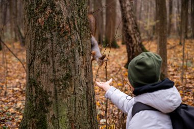Bir çocuk sonbahar parkında avucundaki sincabı besler.