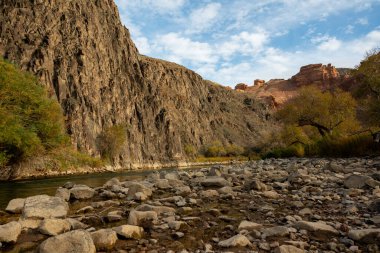 Dağ nehri kayalık kıyılarla dolu bir vadide