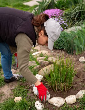 Bir kadın bahçeye çakıl taşlı bir çiçek tarlası diker.