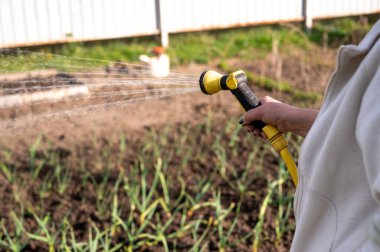 Bahçeyi hortumla sulamak..