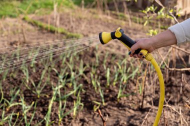 Bahçeyi hortumla sulamak..