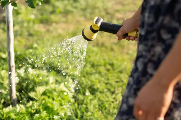 Yazın bahçeyi hortumla sulayan bir kadın. Seçici odak