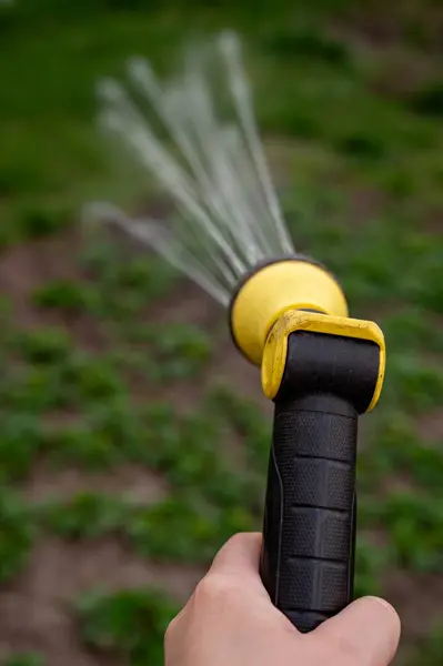 Bahçıvan bahçeyi hortumla suluyor, yakın plan.