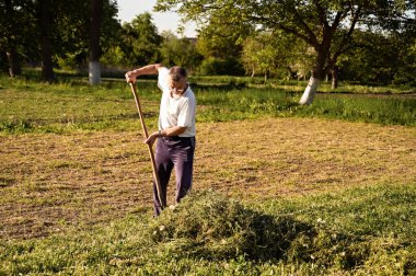 Kıdemli erkek çiftçi güneşli bir yaz gününde bahçede kürek çekiyor.