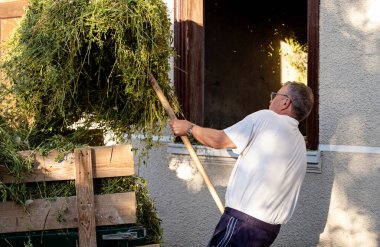 Kıdemli adam güneşli bir günde evinin önüne saman yüklüyor.