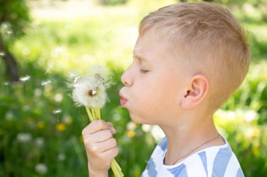 Tatlı küçük çocuk yaz günü dışarıda karahindiba tohumları saçıyor.