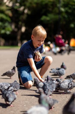 Şehir parkında güvercinleri besleyen şirin bir çocuk. Seçici odak.