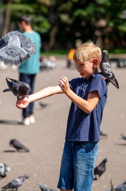 Parkta güvercin besleyen bir çocuk. Seçici odaklanma. Çocuk.
