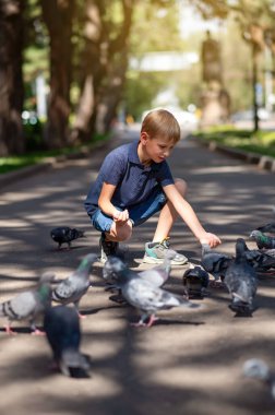 Sarışın bir çocuk parkta güvercinleri besliyor. Seçici odak.