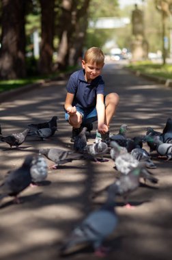 Sarışın bir çocuk parkta güvercinleri besliyor. Seçici odak.