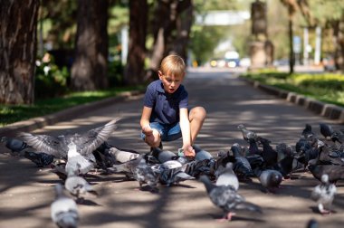 Sarışın bir çocuk parkta güvercinleri besliyor. Seçici odak.
