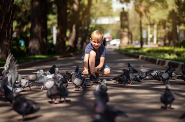 Sarışın bir çocuk parkta güvercinleri besliyor. Seçici odak.