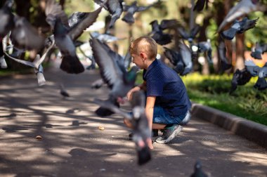 Sarışın bir çocuk parkta güvercinleri besliyor. Seçici odak.