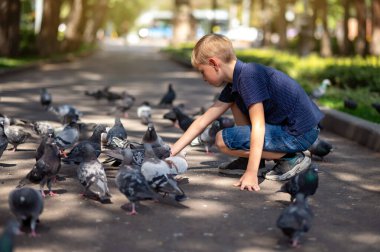 Sarışın bir çocuk parkta güvercinleri besliyor. Seçici odak.