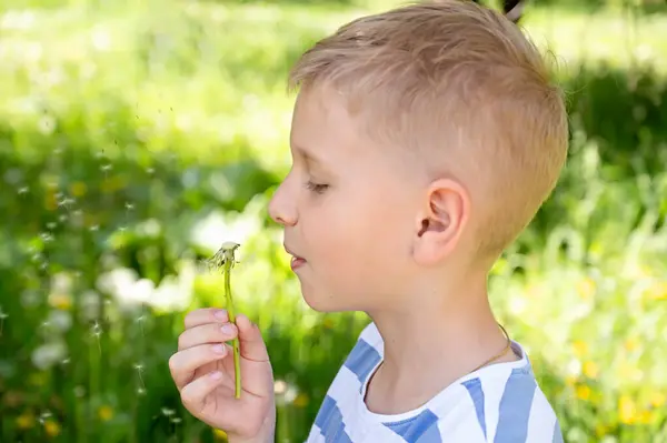 Tatlı sarışın çocuk yaz bahçesinde karahindiba üflüyor..