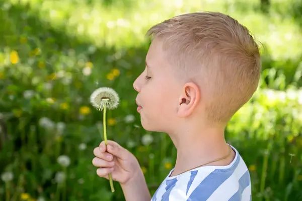 Küçük sarışın çocuk yaz günü parkta karahindiba üflüyor.