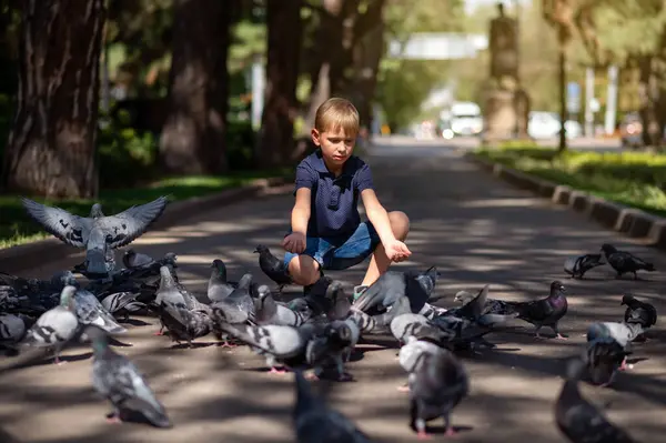 Sarışın bir çocuk parkta güvercinleri besliyor. Seçici odak.