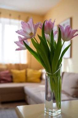 Parlak sarı oturma odasında pembe Dallas laleleri.