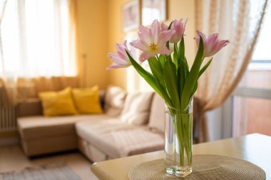 Parlak sarı oturma odasında pembe Dallas laleleri.