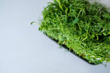 Açık arkaplanda siyah plastik tepside taze bezelye mikroçerezleri. Salatalar, meyve suları ve vejetaryen yemekleri için sağlıklı organik lahanalar. Makro yakın plan