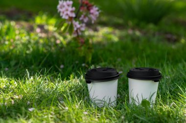 Yeşil çimenlerin üzerinde, çiçek açan bir dal sakura ve kahve molası veren iki kağıt bardak kahve.