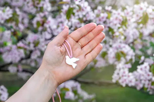 Beyaz güvercin kolyesini pembe kurdelenin üzerinde tutarak kiraz ağacının çiçek açmasına karşı. Dünyanın her yerinde barışın işareti