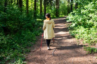 Güneşli bir günde orman yolunda yürüyen bir kadının arkadan görünüşü, doğada sırıklarla yürüme alıştırması yapıyor.