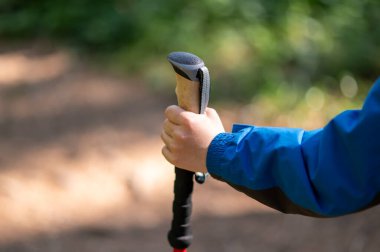 Çocuk eli ormanda yürürken İskandinav bastonu tutuyor.