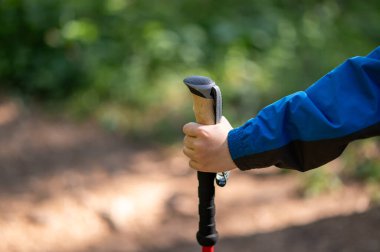 Çocuk eli ormanda yürürken İskandinav bastonu tutuyor.