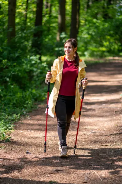 Aktif kadın orman yolunda kuzeye doğru yürüyor.