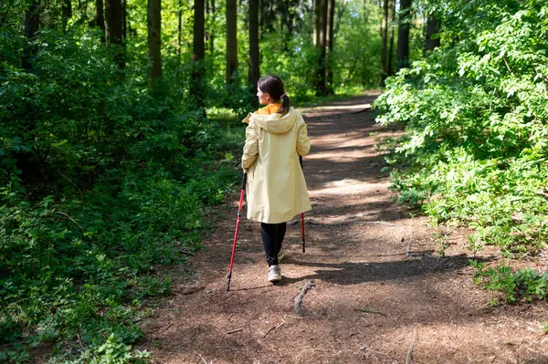 Güneşli bir günde orman yolunda yürüyen bir kadının arkadan görünüşü, doğada sırıklarla yürüme alıştırması yapıyor.