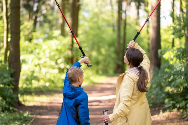 Kadın ve oğul güneşli bir orman yürüyüşü sırasında başlarının üzerinde İskandinav yürüyüş direklerini kaldırarak aktif aile zamanlarının keyfini çıkarıyorlar.