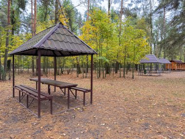 Gölün kıyısındaki boş kumlu sahilde tahta bir çardak, yaz pikniklerine hazır huzurlu bir manzara.