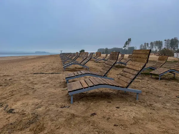 Yaz başında kumlu bir göl kıyısındaki boş odunlar, sakin ve mevsimin başlamasına hazır.
