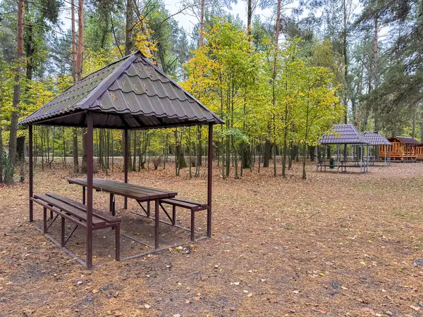 Gölün kıyısındaki boş kumlu sahilde tahta bir çardak, yaz pikniklerine hazır huzurlu bir manzara.