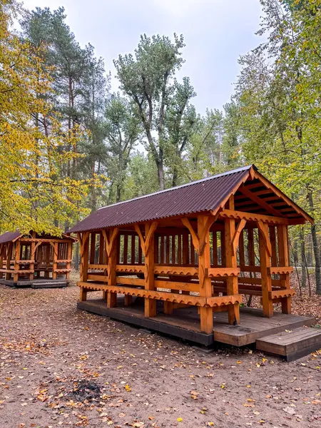 Etrafı yeşilliklerle çevrili bir parkta ahşap piknik çardağı. Açık havada rahatlamak ve rahatlamak için gölge ve oturma olanağı sunuyor.