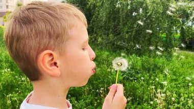 Çocuk karahindiba üflüyor.