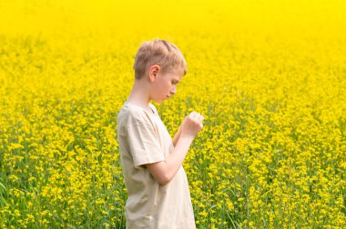 Sarışın çocuk parlak sarı bir kolza tohumu tarlasında duruyor.