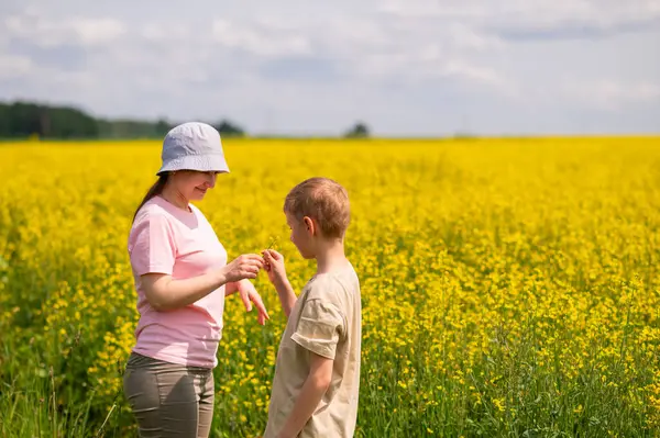 Anne, parlak sarı bir kolza tohumu tarlasında yan yana dururken oğluna kolza tohumu verir.