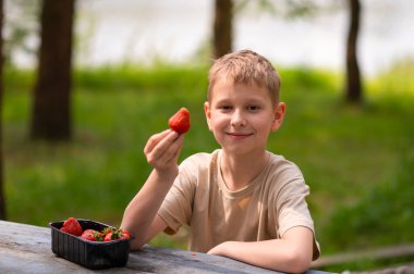 Açık havada açık havada çilek yiyen bir çocuk, tatlı bir yaz atıştırmasının tadını çıkarıyor.